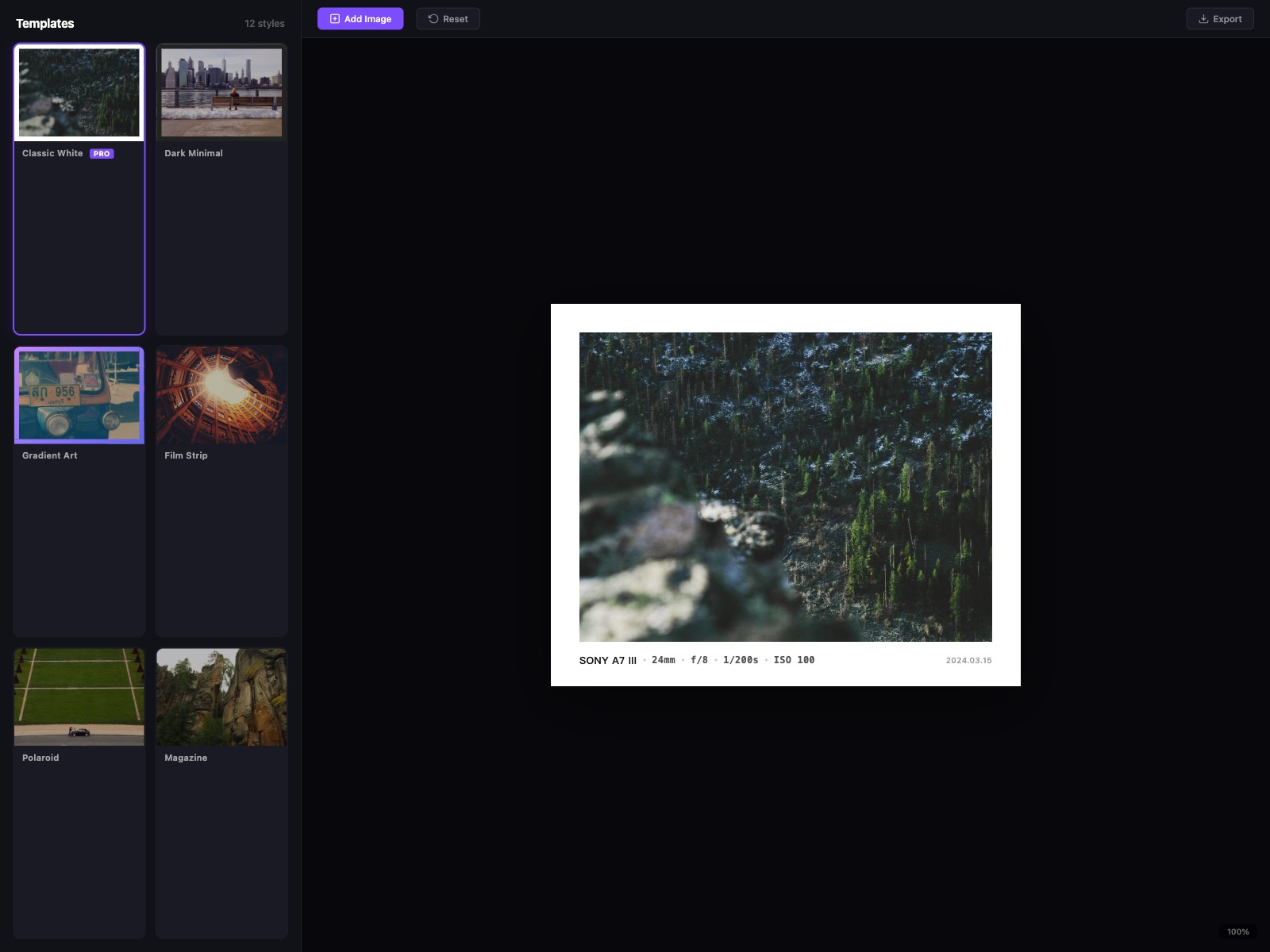 12+ Professional Templates